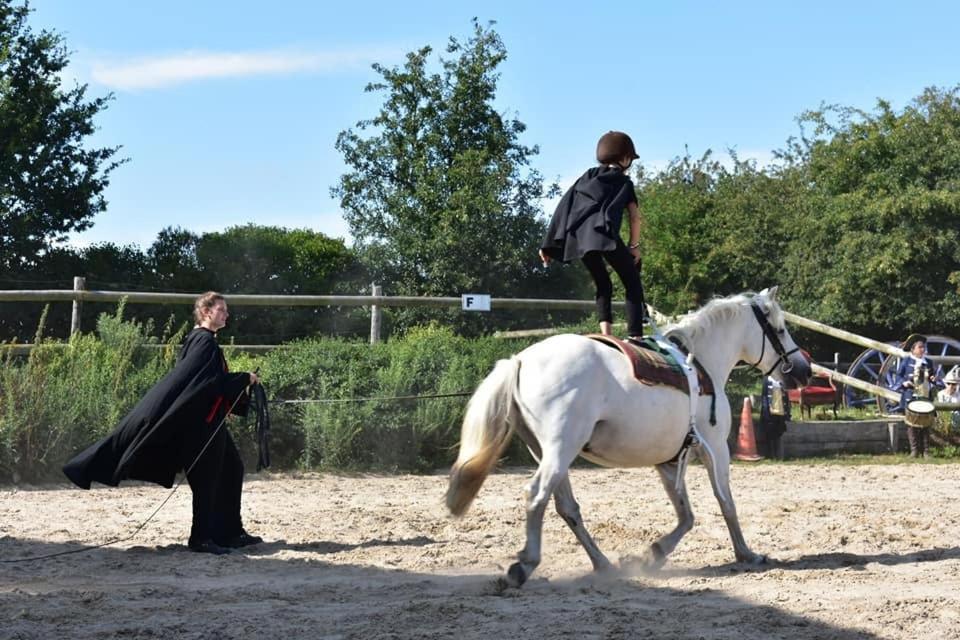 Ecuries Leseigneur - Camping Insolites Bolleville  Exteriör bild